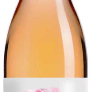 Homenatge Rosat