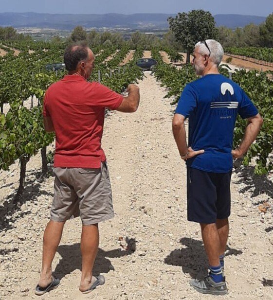 Michael with his friend Lluís in the vines at Massís del Garraf